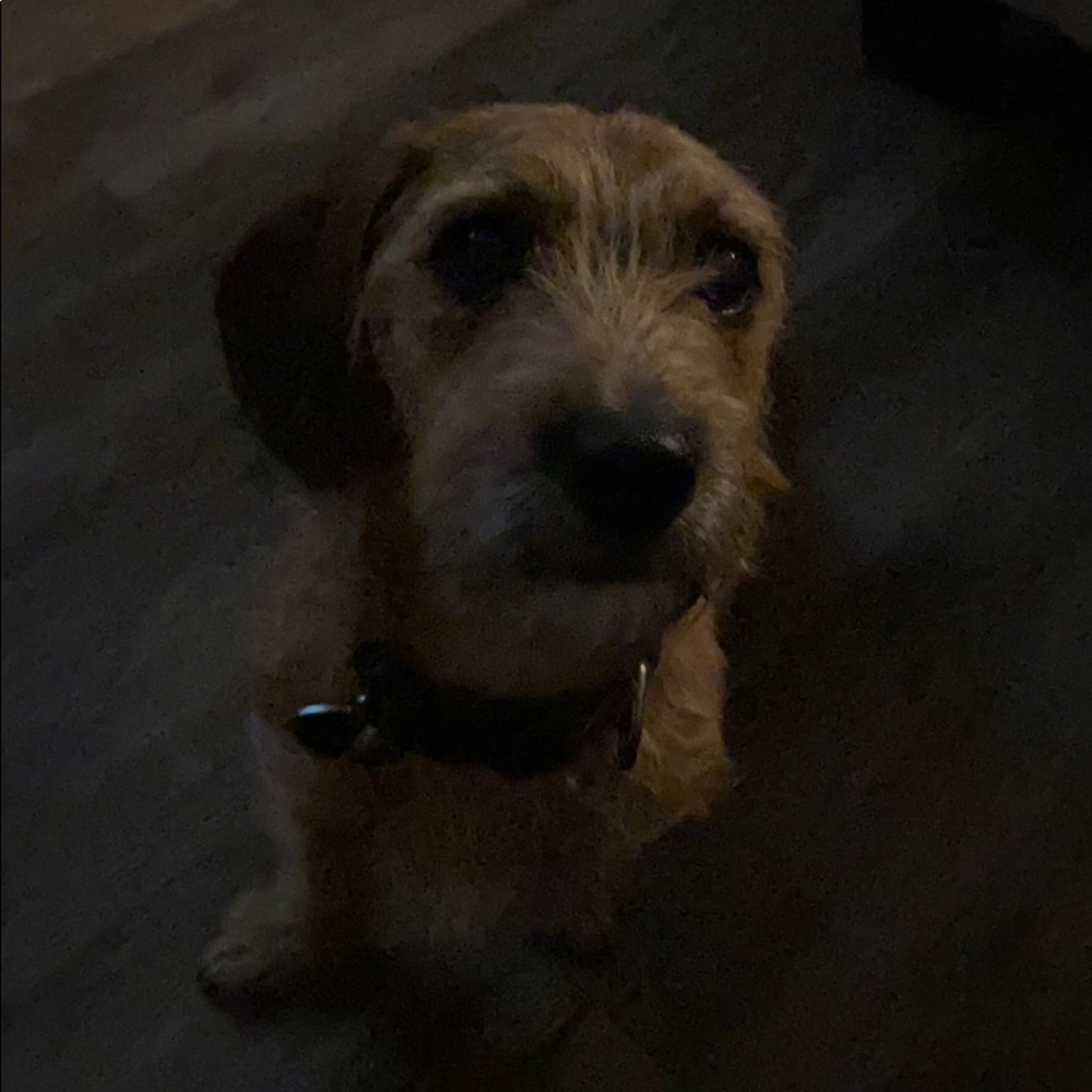 Meet your Posher, Ricardo